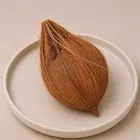 भूरा नारियल | 1 Pc