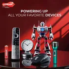 EVEREADY Carbon Zinc AA Battery 