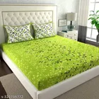 Cotton Queen Bedsheet with 2 Pillow Cover 