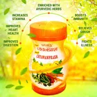 Patanjali Special Chyawanprash 500 g
