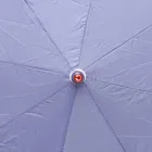 CITIZEN 2 Fold Umbrella [21 Inch, Purple]