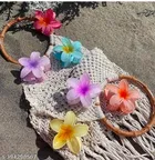 Plastic Hair Claw Clips for Women & Girls 