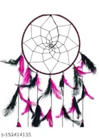 Feather Wall Hanging Dream Catcher 