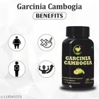 Fij Ayurveda 60 Pcs Garcinia Cambogia Capsule