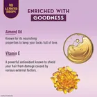 Bajaj Almond Drops Nourishing Shampoo with Almond Milk, Vitamin E & Biotin | For Soft, Shiny Hair | 10X Hairfall Reduction | Paraben Free, 340 ml
