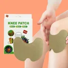 Knee Pain Relief 10 Pcs Heating Patch (Pack of 1)