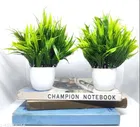 Artificial Plants with Pot 