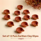 तेजस मिट्टी दिया - 12 N