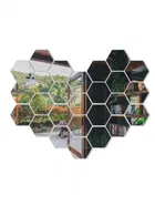 Acrylic Hexagon Shaped Wall Mirror Stickers 
