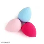 Makeup Brush with 3 Pcs Makeup Blender 