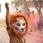 MB HOLI ANIMAL FACE MASK LION 1pc PP 