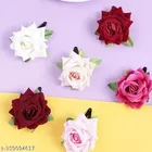 Designer Hair Pins for Women 