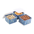 Fresia Printed Containers Pack of 3 