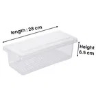 MAGIC PLUS Fish Container 