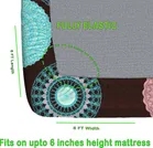 Polycotton Elastic Double Bedsheet Multicolor