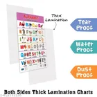 Bookford Publications Both Sides Big Laminated Charts – Alphabet 