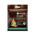 Garnier black natural 4.0 natural Brown 20 ml + 20 g