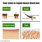 Phillauri Hair Growth Oil 