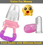 Baby Fruit Feeder And Silicone Brush Combo