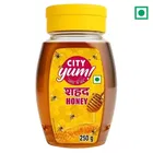 सिटी यम हनी 250 g