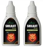 Nutrocopia Ayurvedic Shilajit Drops 