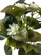 Green Gallery Artificial White Camellia Flower Bunch 32x22cm