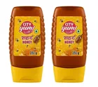 City Yum Honey Squeezy Bottle 2X250 g (Pack of 2)
