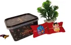 Synthetic 2 Pcs Rakhi with Chocolate 