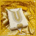 Silk Blend Embroidered Punjabi/All Over Suits for Women 
