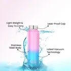 Stainless Steel Water Bottles 