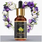 Leandros Cosmetic Essential Oils for Men & Women (30 ml)