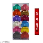 Plastic Hair Clutcher for Women & Girls 