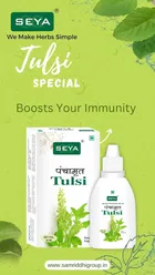 SEYA Panchramrat Tulsi Drops for Natural Immunity Boosting 