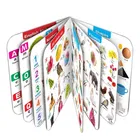All in one Learning Board book for Pre-nursery Kids 