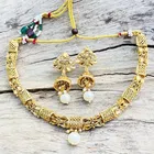 Designer Choker Necklace with Earrings for Women & Girls (Multicolor, Set of 1)