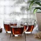 Afast  Transparent Square Shape Tea Cup Coffee Cup Set of 6 Made of Crystal Clear Glass 155 ml