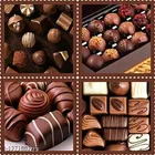 6 Designs Chocolate and Ice Moulds Tray 