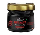 Herbs Library Shilajit (20 gm)