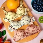 Cotton Printed Bra for Women & Girls, Multicolour, Pack of 3 