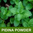 Natural Ginger & Pudina Powder for Skin & Hair 