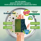 Scotch Brite 3 Pcs Antibacterial Scrub Pad 