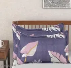 Cotton Pillow Covers 