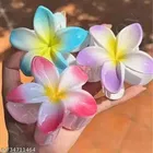Hair Clips for Women 