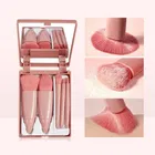 Portable 5 Piece Makeup Brush Set With Makeup Mirror 