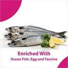 Maxi Persian Cat Food, 1.2 kg 