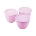 Fresherware Airtight Oval Containers Pack of 3 