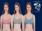 Cotton Blend Solid Padded Bra for Women 