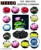 Zello Mix Organic Lotus Flower Seeds (20 Seeds)