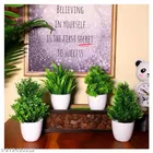 Artificial Plants with Pot 