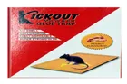 Mouse Insect Trap/Catcher Sticky Glue Pad (Pack Of 2)